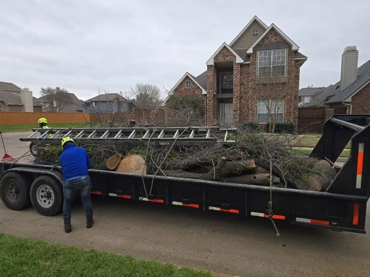 Expert Tree Fertilization with proper safety equipment in Calvert